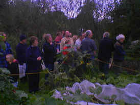 051001_141002.jpeg (55208 bytes)