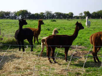 photoshoot101.jpeg (107027 bytes)