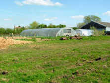 snitterby4.jpeg (76670 bytes)