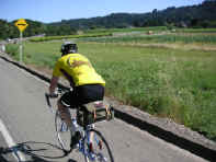 Click image to enlarge