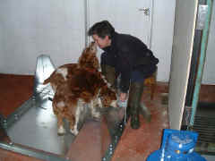 Booth.JPG (56115 bytes)