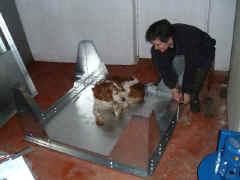 Booth1.JPG (52682 bytes)