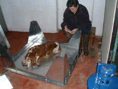 Booth2.JPG (59392 bytes)